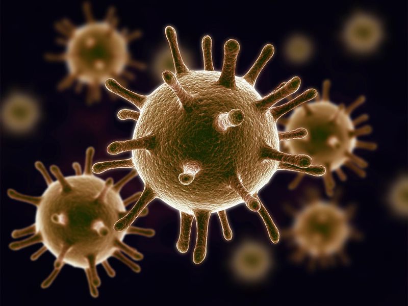 virus vzrok za vse rake rifanje